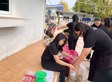 สำนักงานสหกรณ์จังหวัดหนองคายกระจายหอมแดง(ปึ๋ง) ... พารามิเตอร์รูปภาพ 29